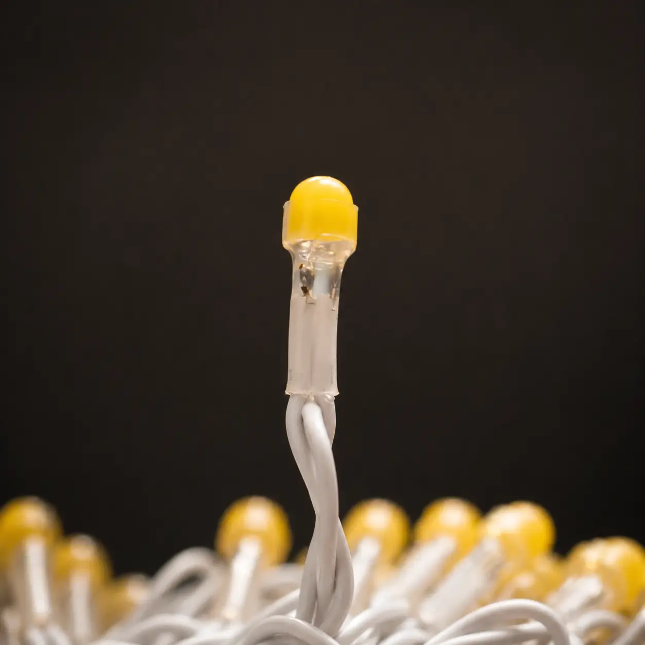 Close-up of a single warm yellow rice light LED on its thin twin wire